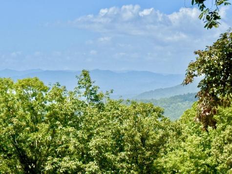 Lot 25 Grand Laurel Brasstown NC 28902