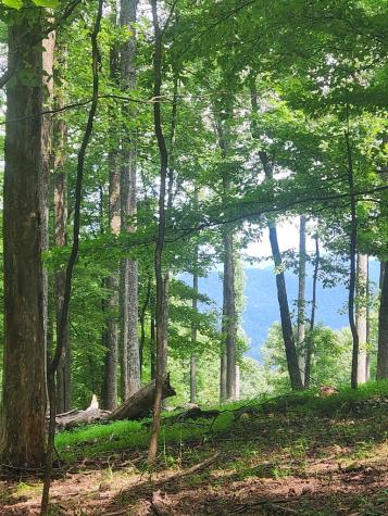 Lt M212e Walnut Ridge Ellijay GA 30540