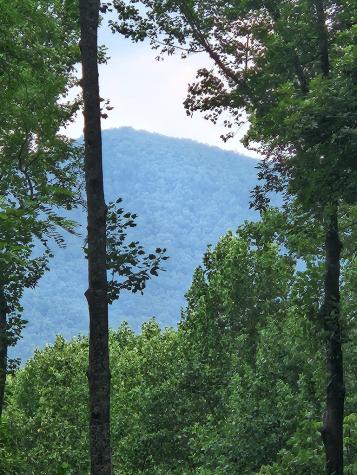 Lt M212e Walnut Ridge Ellijay GA 30540