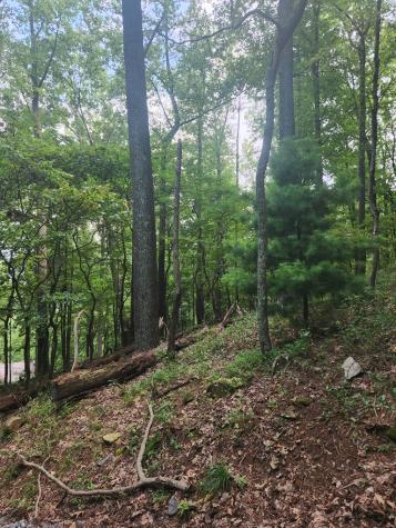 Lt M212e Walnut Ridge Ellijay GA 30540