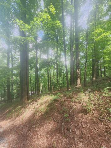 Lt M212e Walnut Ridge Ellijay GA 30540