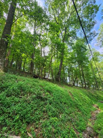 Lt M212e Walnut Ridge Ellijay GA 30540