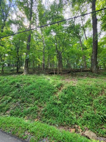 Lt M212e Walnut Ridge Ellijay GA 30540