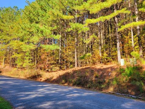 Lot 6 Black Bear Ridge Road Ellijay GA 30536