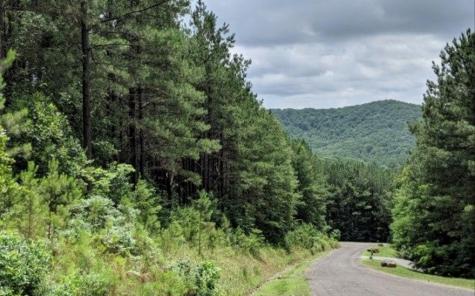 Lot 6 Black Bear Ridge Road Ellijay GA 30536