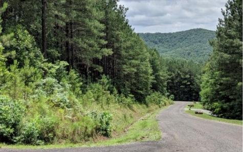Lot 6 Black Bear Ridge Road Ellijay GA 30536