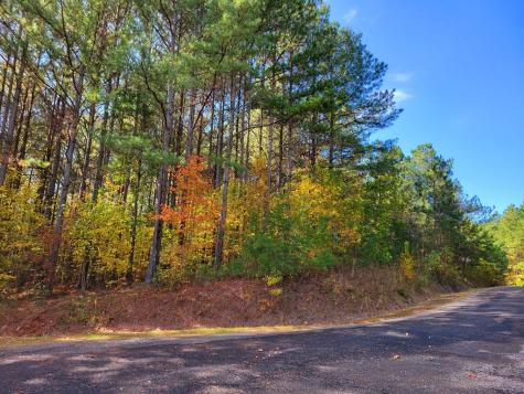 Lot 6 Black Bear Ridge Road Ellijay GA 30536