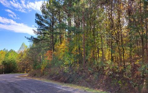 Lot 6 Black Bear Ridge Road Ellijay GA 30536
