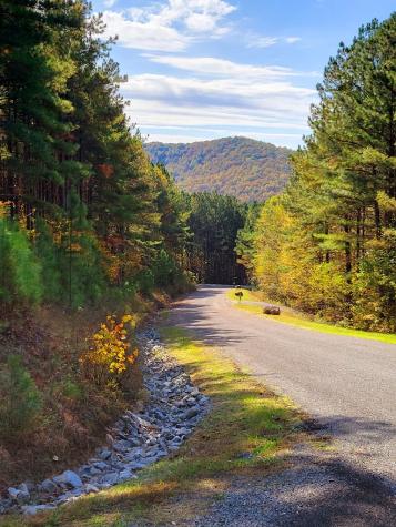 Lot 6 Black Bear Ridge Road Ellijay GA 30536