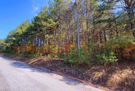 Lot 6 Black Bear Ridge Road Ellijay GA 30536
