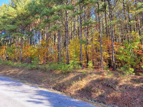 Lot 6 Black Bear Ridge Road Ellijay GA 30536