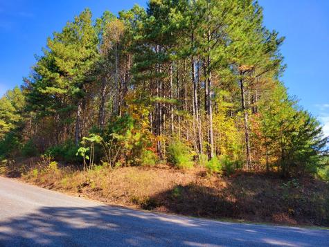 Lot 6 Black Bear Ridge Road Ellijay GA 30536