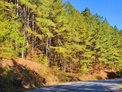 Lot 6 Black Bear Ridge Road Ellijay GA 30536