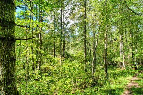 684 Old Miller Rock Road Ellijay GA 30540