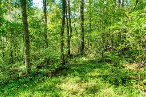 684 Old Miller Rock Road Ellijay GA 30540