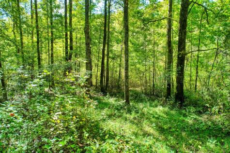 684 Old Miller Rock Road Ellijay GA 30540