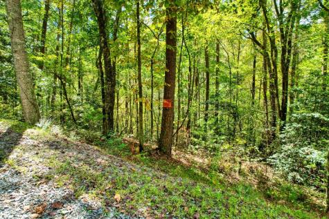 684 Old Miller Rock Road Ellijay GA 30540