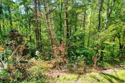 684 Old Miller Rock Road Ellijay GA 30540