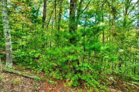 684 Old Miller Rock Road Ellijay GA 30540