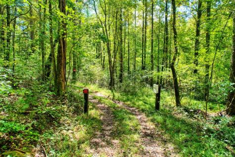 684 Old Miller Rock Road Ellijay GA 30540