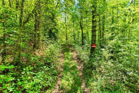 684 Old Miller Rock Road Ellijay GA 30540