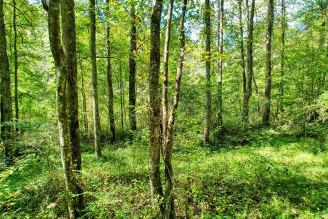 684 Old Miller Rock Road Ellijay GA 30540