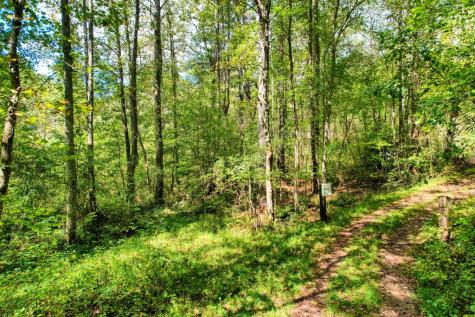 684 Old Miller Rock Road Ellijay GA 30540