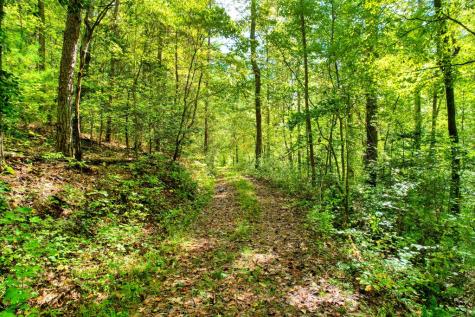 684 Old Miller Rock Road Ellijay GA 30540