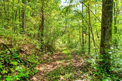 684 Old Miller Rock Road Ellijay GA 30540
