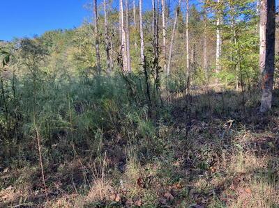 Lot 6 Rushing Water Trail Hayesville NC 28904