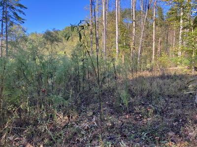 Lot 6 Rushing Water Trail Hayesville NC 28904