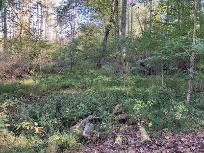 Lot 6 Rushing Water Trail Hayesville NC 28904