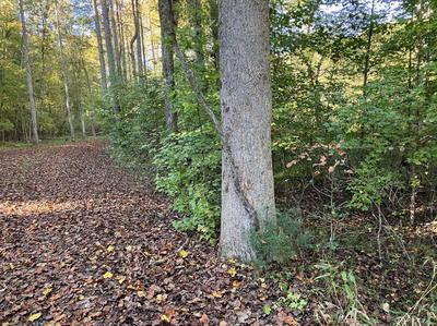 Lot 6 Rushing Water Trail Hayesville NC 28904