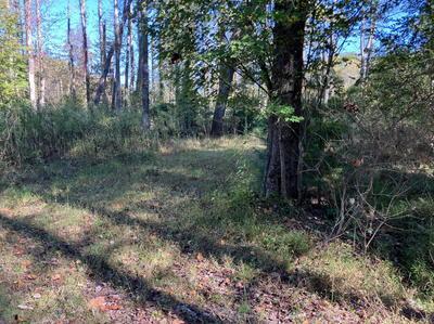 Lot 6 Rushing Water Trail Hayesville NC 28904