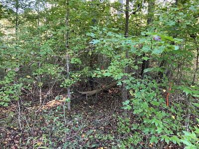 Lot 6 Rushing Water Trail Hayesville NC 28904