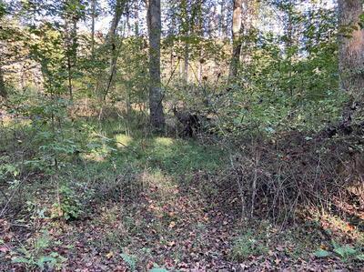 Lot 6 Rushing Water Trail Hayesville NC 28904