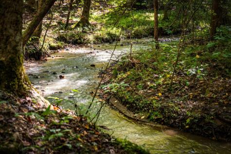 Lt 3 Pheasant Tail Trace Ellijay GA 30536