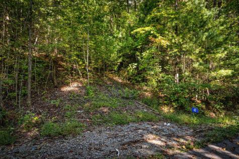 Lt 3 Pheasant Tail Trace Ellijay GA 30536