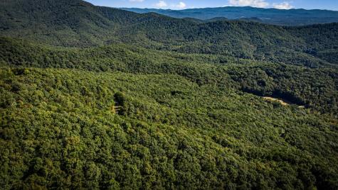 Lt 3 Pheasant Tail Trace Ellijay GA 30536
