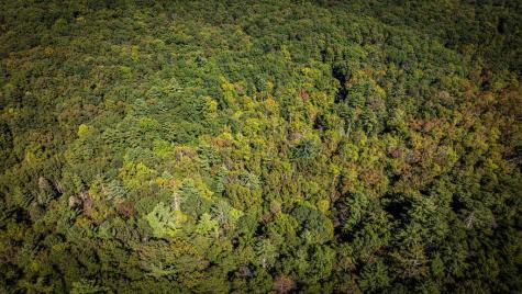 Lt 3 Pheasant Tail Trace Ellijay GA 30536