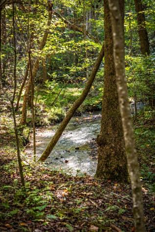 Lt 3 Pheasant Tail Trace Ellijay GA 30536