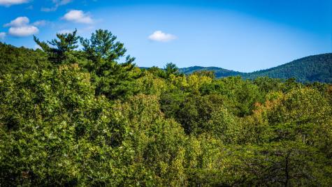 Lt 3 Pheasant Tail Trace Ellijay GA 30536