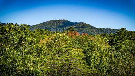 Lt 3 Pheasant Tail Trace Ellijay GA 30536