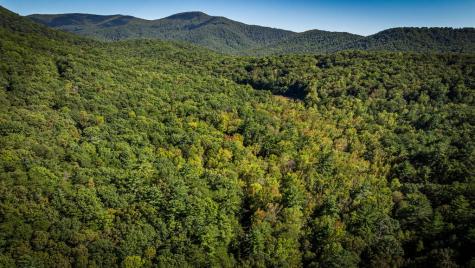 Lt 3 Pheasant Tail Trace Ellijay GA 30536