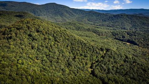 Lt 3 Pheasant Tail Trace Ellijay GA 30536