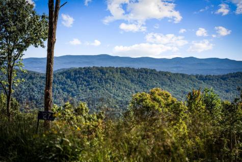 Lt 3 Pheasant Tail Trace Ellijay GA 30536