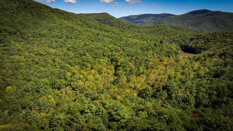 Lt 3 Pheasant Tail Trace Ellijay GA 30536