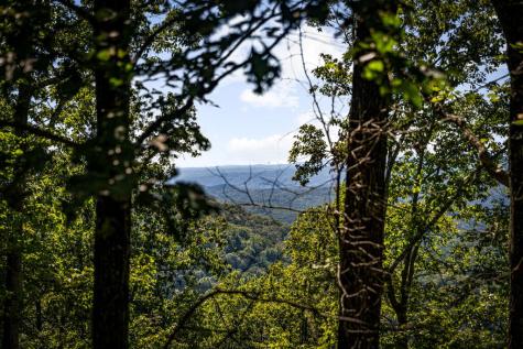 Lt 3 Pheasant Tail Trace Ellijay GA 30536