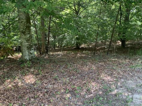 4,5&6 Mountain Wood Drive Murphy NC 28906