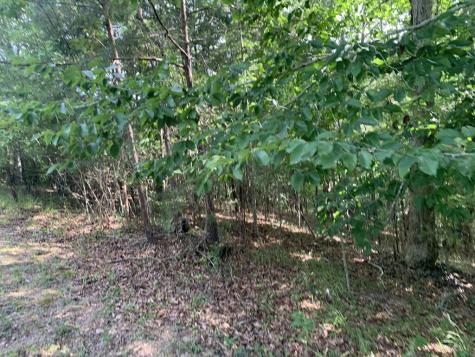 4,5&6 Mountain Wood Drive Murphy NC 28906